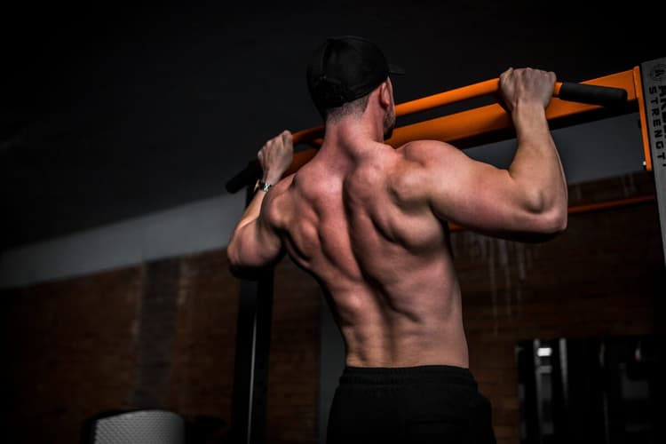 protein for muscle building